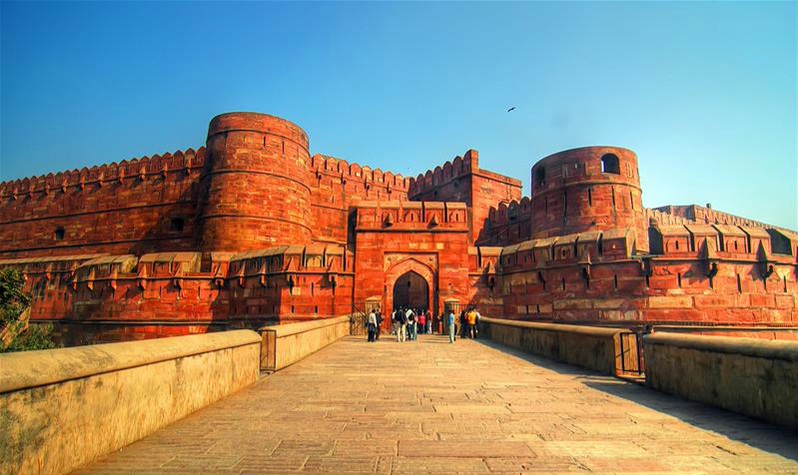 tfd__2_3278_tfd240926100454769893agrafort